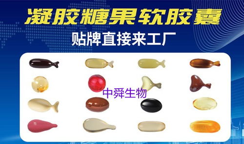 中舜生物 如何選擇高品質(zhì)益生菌OEM伙伴，一站式服務(wù)守護(hù)食品安全與營(yíng)養(yǎng)